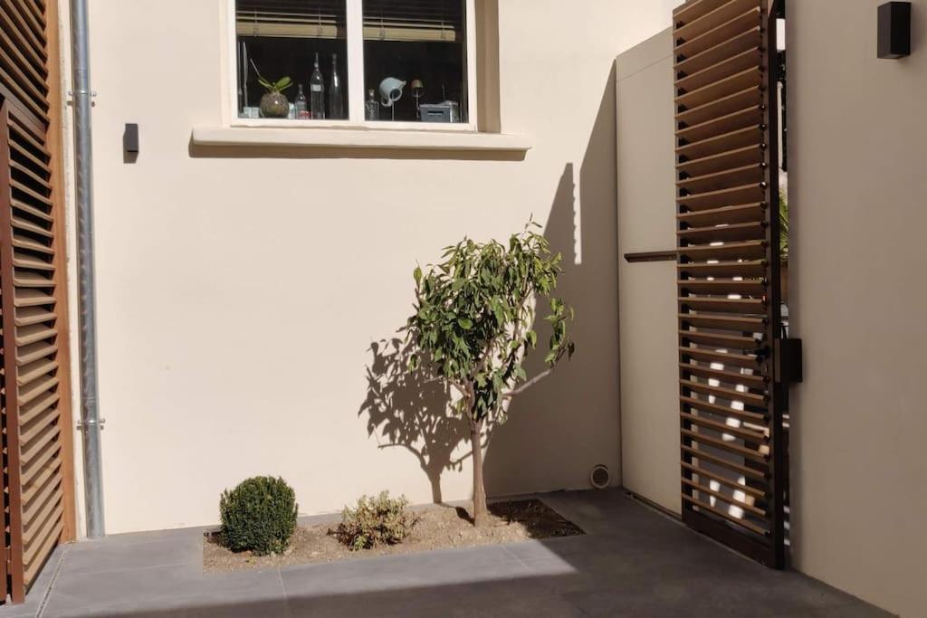 La Maison De Colette - Coeur De Village Cuxac-dʼAude Exterior foto